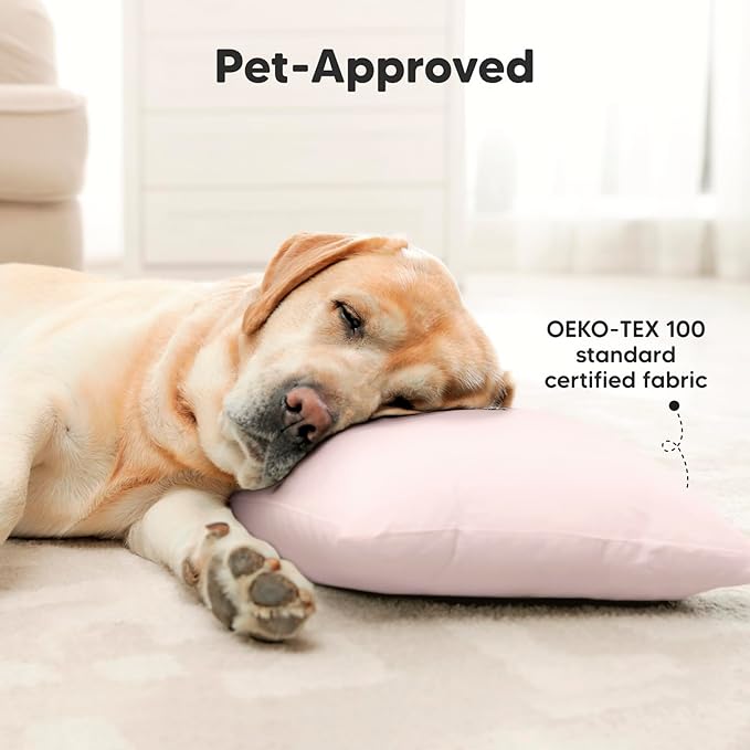 2-Pack Toddler Pillow - Soft Organic Cotton Toddler Pillows for Sleeping - 13X18 Small Pillow for Kids - Kids Pillows for Sleeping - Kids Pillow for Travel, School, Nap, Age 2 to 5 (Mist Pink)