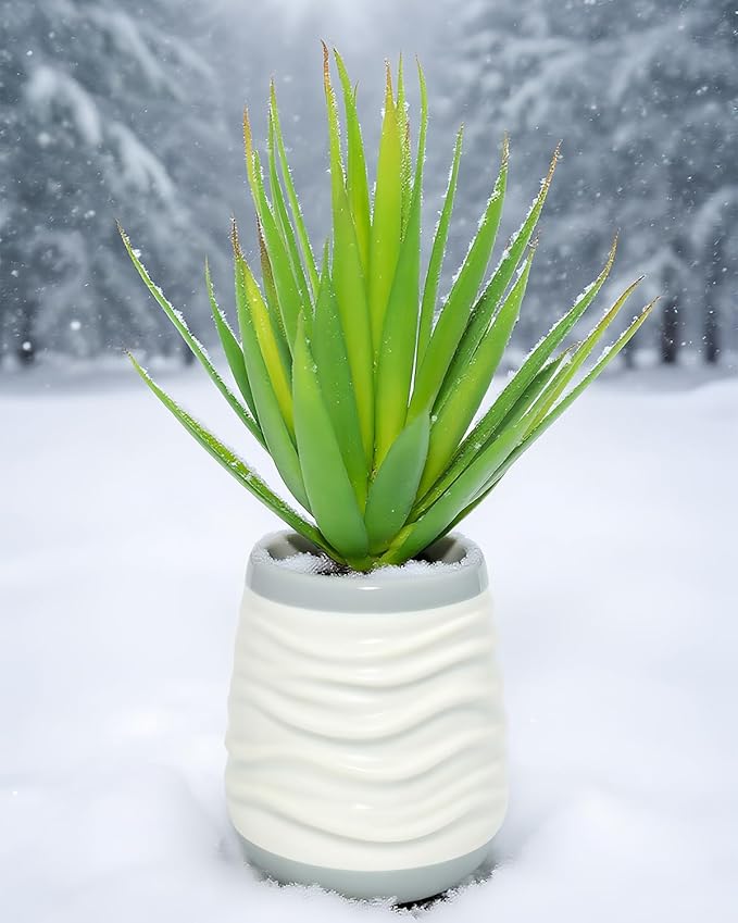 LJY 2 Pieces Realistic Artificial Faux Succulent Yucca Vera Greenhouse Small Plants Unpotted for Home Garden Decoration (Spring Green)