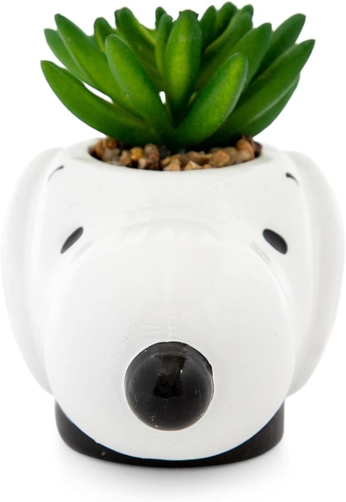 Peanuts Snoopy Face Ceramic Mini Planter with Artificial Succulent | Small Flower Pot, Faux Indoor Plants for Desk Shelf, Home Decor Trinket Tray | Cute Charlie Brown Gifts and Collectibles