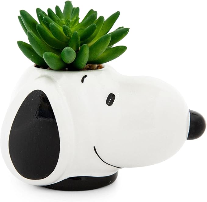 Peanuts Snoopy Face Ceramic Mini Planter with Artificial Succulent | Small Flower Pot, Faux Indoor Plants for Desk Shelf, Home Decor Trinket Tray | Cute Charlie Brown Gifts and Collectibles