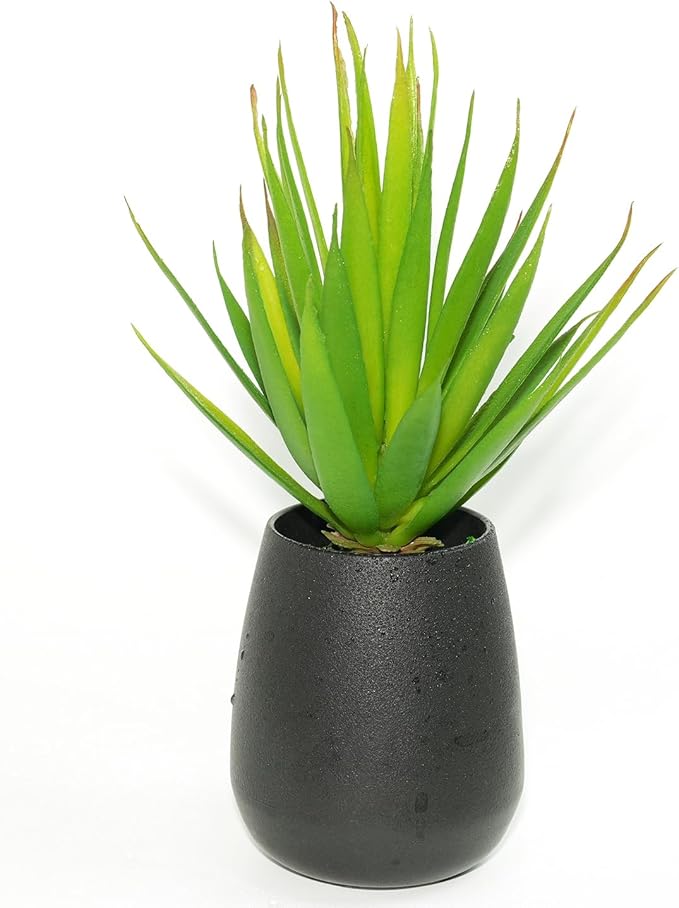 LJY 2 Pieces Realistic Artificial Faux Succulent Yucca Vera Greenhouse Small Plants Unpotted for Home Garden Decoration (Spring Green)