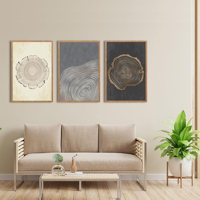 IARTTOP Framed Tree Ring Wall Art Set of 3 Modern Abstract Wood Stump Wall Decor for Living Room Bedroom1Office 16x24 Inch