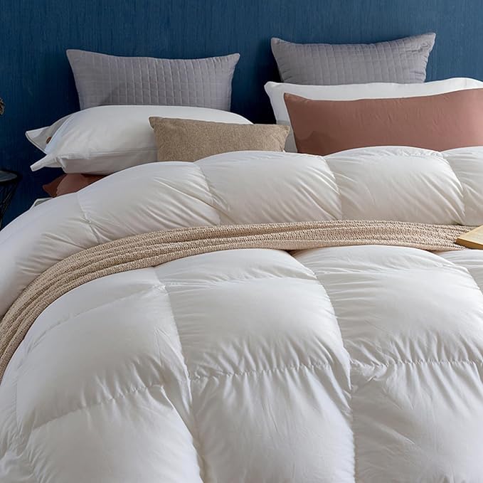 Royoliving Premium Feathers Down Duvet Insert Comforter Queen Size Heavyweight Thickened Winter White 100% Cotton Cover with Corner Tabs (90x90, 60 oz)