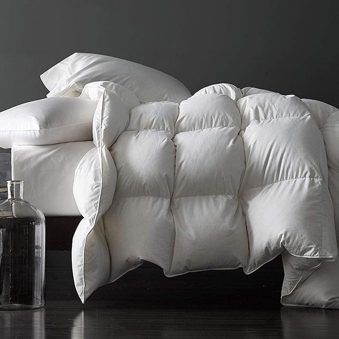 Royoliving Premium Feathers Down Duvet Insert Comforter Queen Size Heavyweight Thickened Winter White 100% Cotton Cover with Corner Tabs (90x90, 60 oz)