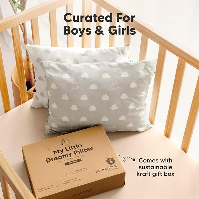 2-Pack Toddler Pillow - Soft Organic Cotton Toddler Pillows for Sleeping - 13X18 Small Pillow for Kids - Kids Pillows for Sleeping - Kids Pillow for Travel, School, Nap, Age 2 to 5 (Cloud)