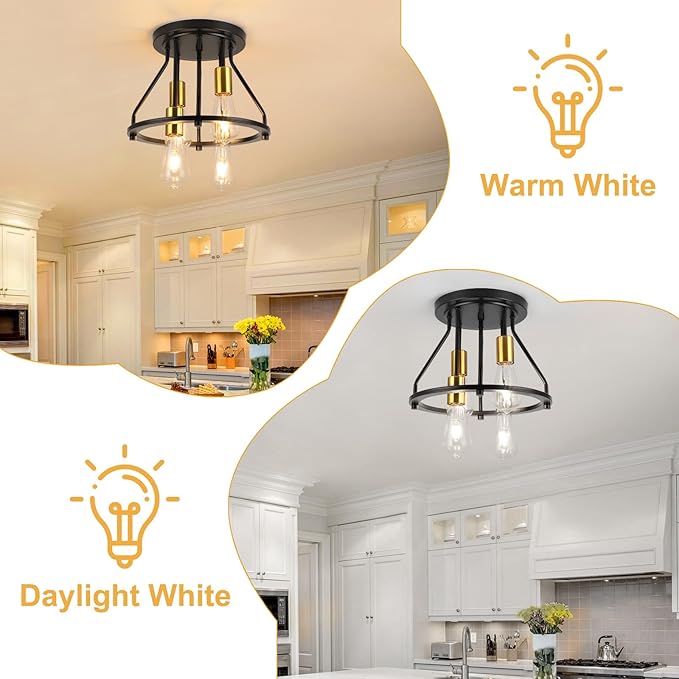 WILON Semi Flush Mount Ceiling Light 4-Light Ceiling Light Fixtures - Black Gold Farmhouse Kitchen Light Industrial Hallway Light Fixtures Ceiling Lamp for Hallway Kitchen Foyer (E26 Socket)