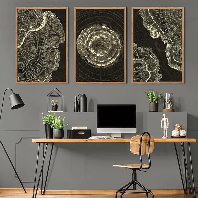 IARTTOP Tree Ring Canvas Wall Art Large Framed 24x36 Inch Black Modern Abstract Wall Decor Neutral Minimalist Wood Spiral Wall Painting for Living room Bedroom Office Set of 3