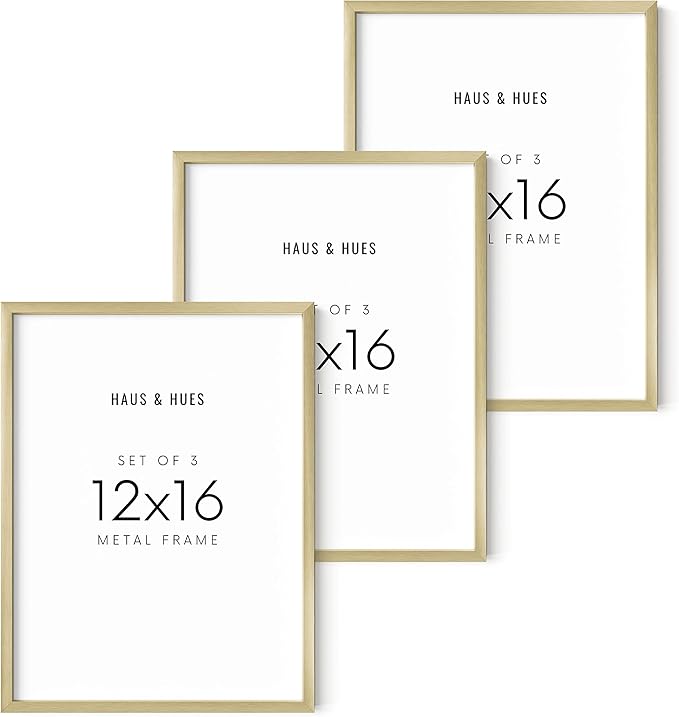 HAUS AND HUES Gold Picture Frames 12x16 - Gallery Wall Frame Set of 3, Poster Frame for Paintings, Wall Art, Aluminum Frames
