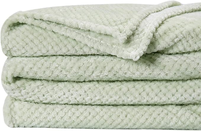 Fuzzy Throw Blanket, Plush Fleece Blankets for adults, Toddler, boys and Girls, Warm Soft Blankets and Throws for Bed, Couch, Sofa, Travel and Outdoor, Camping (Queen(80"x90"), XXL-Pastel Green)