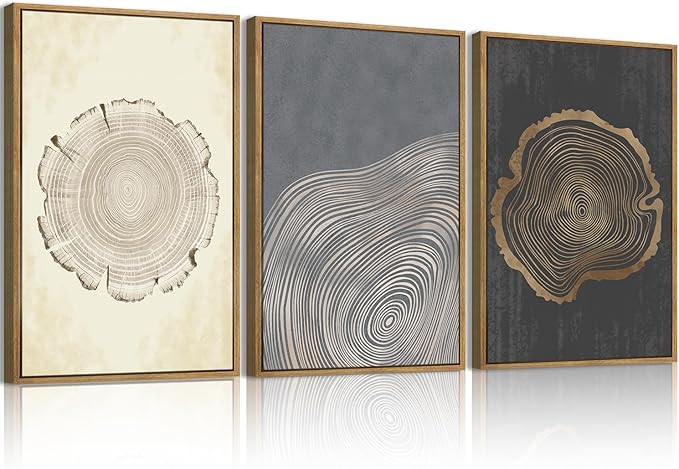 IARTTOP Framed Tree Ring Wall Art Set of 3 Modern Abstract Wood Stump Wall Decor for Living Room Bedroom1Office 16x24 Inch