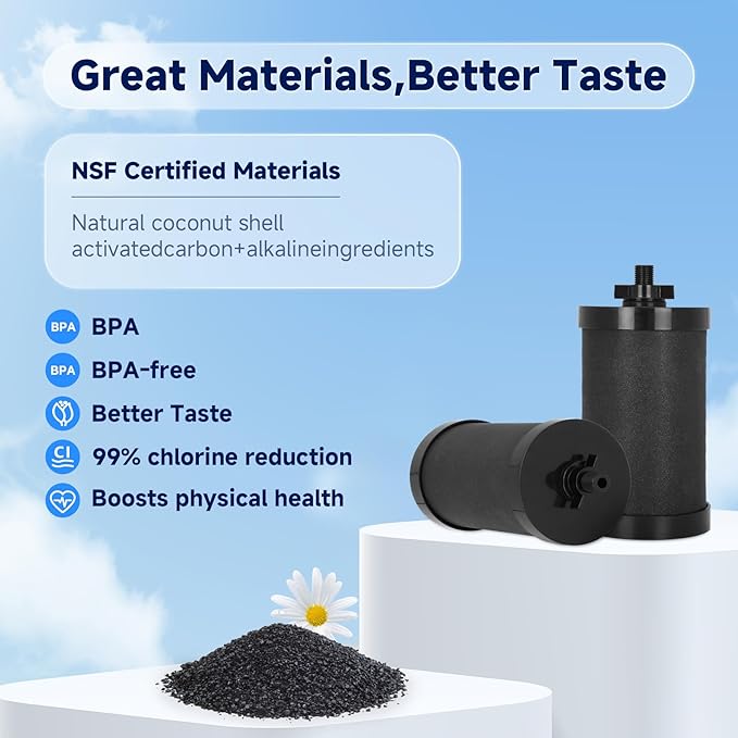 2387 Pro Black Filter, NSF/ANSI 42 Certified for Alexapure 2387 Pro Filter Replacement, 5,000 Gallon Throughput Capacity Compatible with Alexapure Water Filtration System - 2 Pack Black