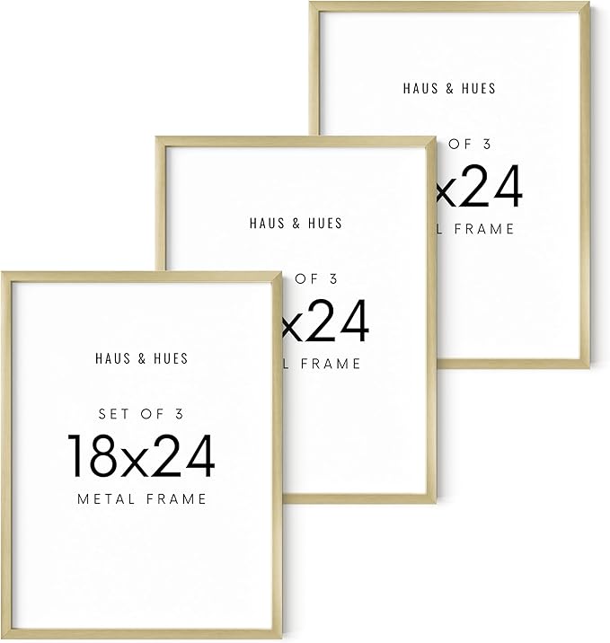 HAUS AND HUES 18x24 Gold Metal Picture Frames - Features Premium Aluminum, Vertical & Horizontal Hang, Shatterproof Plexiglass - Perfect for Home, Room, Office (18x24 in, Gold, Set of 3)