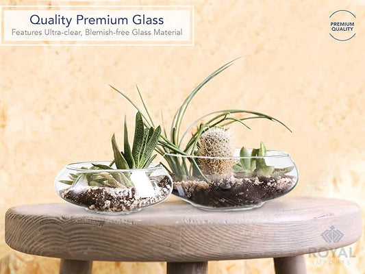 Royal Imports Round Glass Vase Set of 2 – Clear Decorative Glass Bowls for Flowers, Terrariums, Succulent Planters, Bubble Vases, Floral Decor Centerpieces, Glass Flower Pots for Home or Wedding Décor