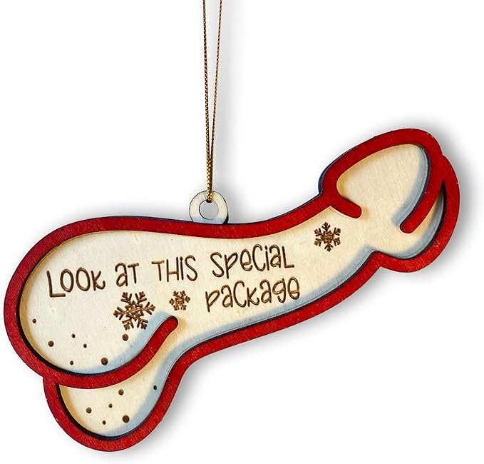 Look at This Special Package Novelty Christmas Ornament - Fun and Quirky Wooden Penis-Shaped Holiday Decoration - Easily Add A Name in Penis-Shaped Ornament with Oil Marker (Marker Not Included)