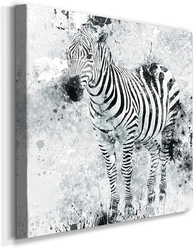 Canvas Wall Art Animals Theme for Home Décor, Zebra I Wall Art, Ready to Hang, 16'' x 16''