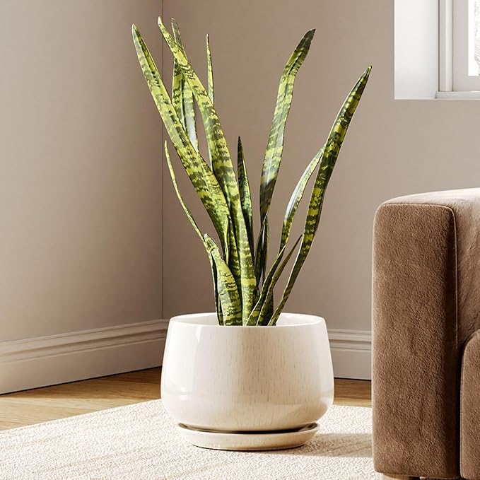 LE TAUCI Ceramic Planters, 10 Inch Plant Pot with Drainage Holes and Saucers, Stylish and Durable Planter, Plant Pots Indoor, Gift for Mom, Reactive Glaze Beige