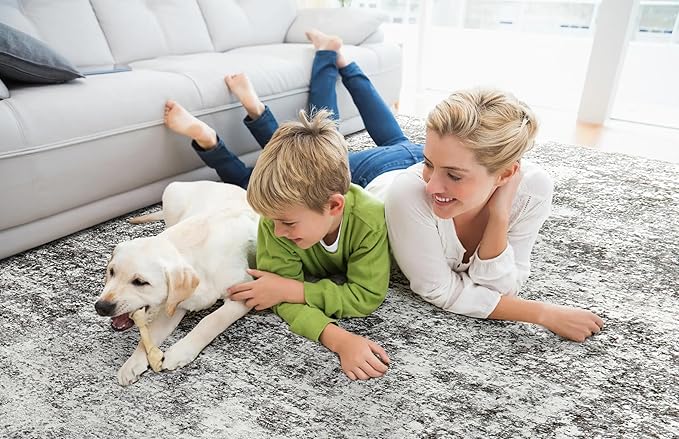 Area Rugs for Living Room: 5x7 Washable Neutral Abstract Rug for Bedroom Large Soft Modern Dining Room Rugs Indoor Floor Low Pile Carpet for Home Office Nursery - Grey