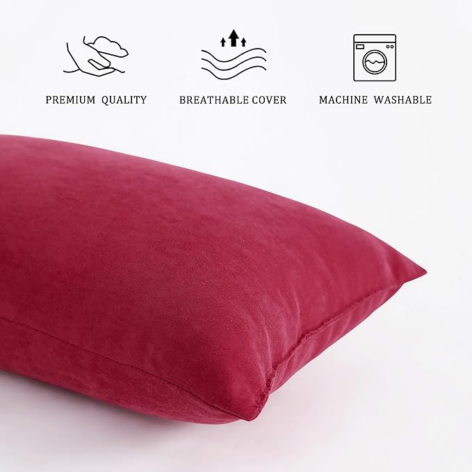 BEDSUM 2 Pack Tiny Pillows, 11"x7" Microfiber Mini Pillows for Travel, Dogs, Cats, Soft and Machine Washable Small Pillows for Neck, Wrist, and Knee Comfort, Red