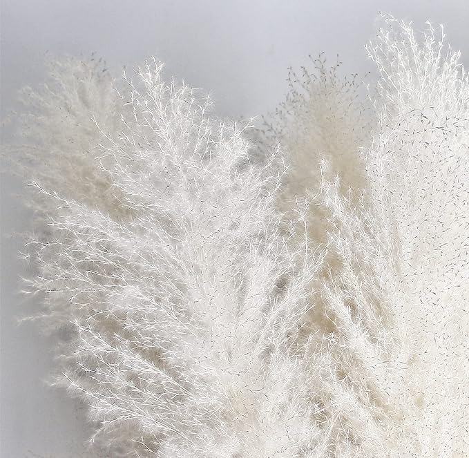 46" inch 10 Stems Cream Pampas Grass Decor Tall, Dry Flowers for Floor Vases Decor, Natural Dried Flowers for Wedding, Natural Home Decor, Wall Grass, Glam Decor