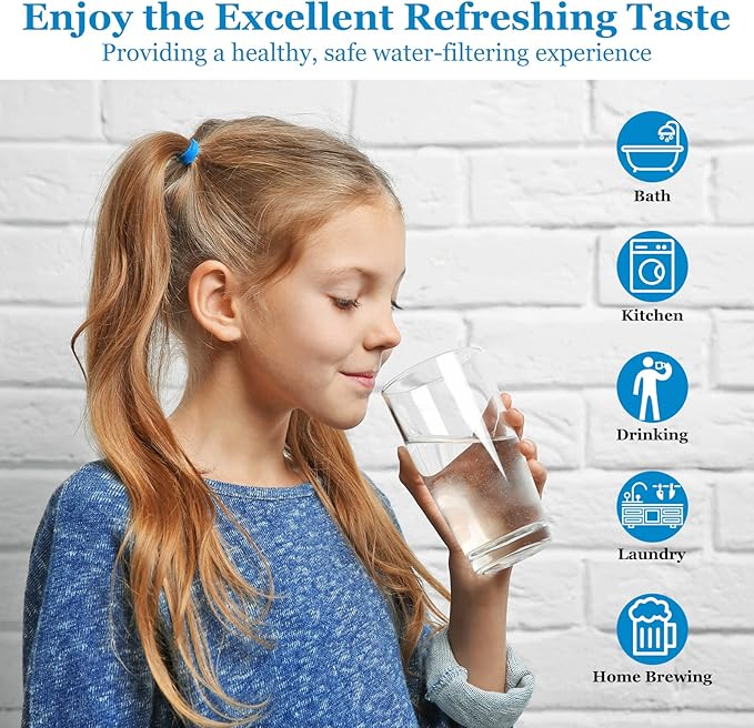 20 Micron 20-Inch Whole House Water Filter Replacement Cartridge, Pleated Sediment Water Filters 2.5" x 20" for Well Water, Compatible with ECP20-20, 255487-43, SPC-25-2020, 6 Pack