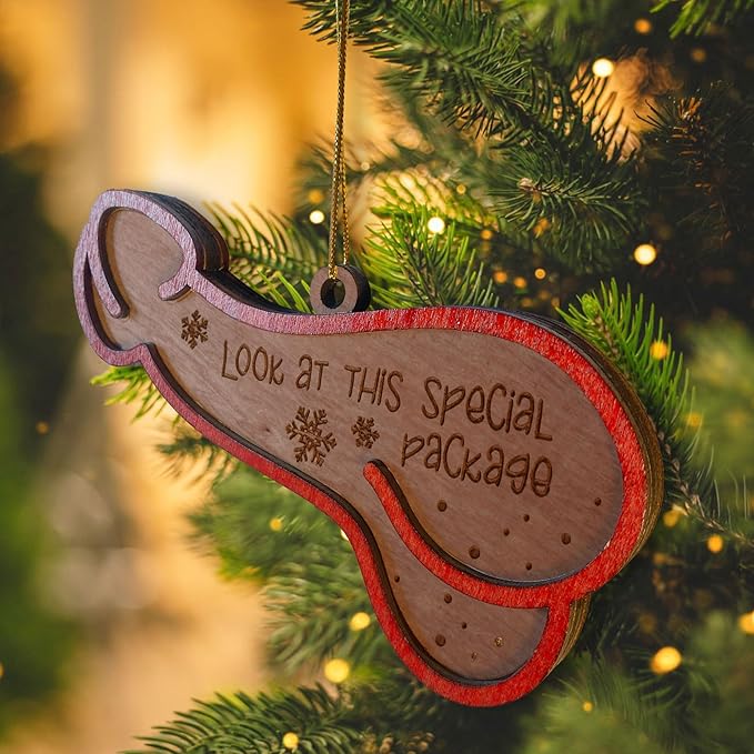Look at This Special Package Novelty Christmas Ornament - Fun and Quirky Wooden Penis-Shaped Holiday Decoration (Brown Special Package)
