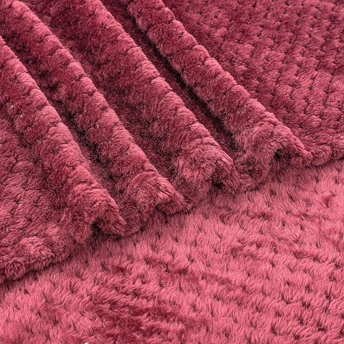 Fuzzy Blanket or Fluffy Blanket for Baby, Soft Warm Cozy Coral Fleece Toddler, Infant or Newborn Receiving Blanket for Crib, Stroller, Travel, Decorative (28Wx40L, XS-Coral Red)