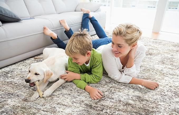 Area Rugs for Living Room: 8x10 Washable Neutral Abstract Rug for Bedroom Large Soft Modern Dining Room Rugs Indoor Floor Low Pile Carpet for Home Office Nursery - Brown Grey