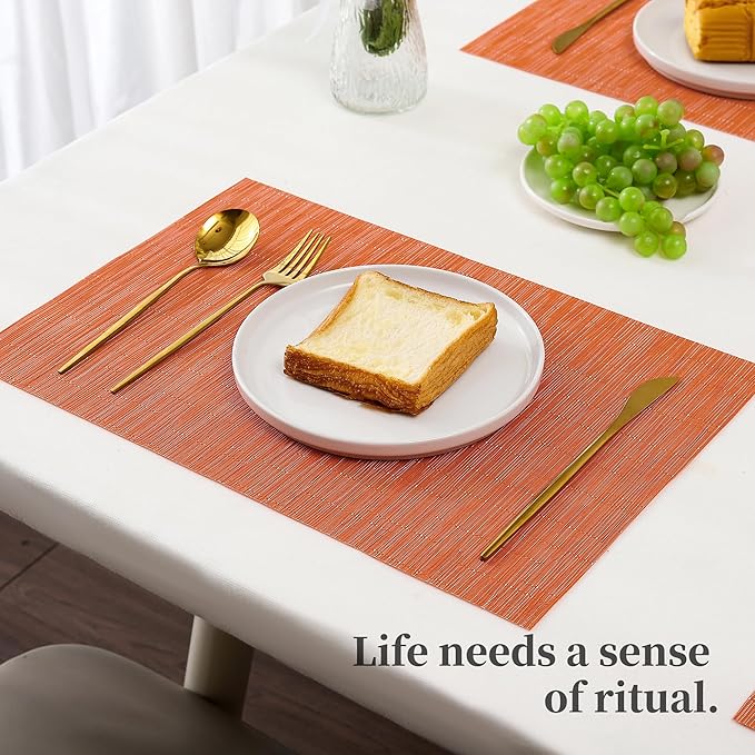 Leetaltree Orange Placemats Set of 4 - Heat Resistant Non-Slip Place mats for Dining Table, Washable Durable PVC Vinyl Woven Table Mats(Orange, 4)