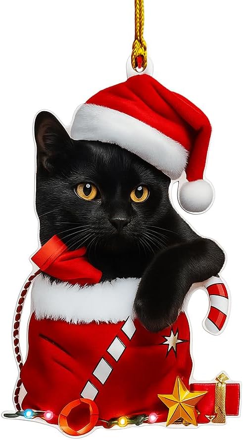 Black Cat Christmas Ornament 2025 – Cute Cat in Santa Hat & Candy Cane – Funny Holiday Tree Decoration for Kitten Lovers, Pet Memorial Keepsake, Xmas Gift for Friends & Family