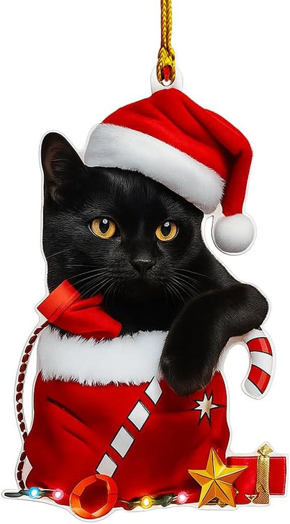 Black Cat Christmas Ornament 2025 – Cute Cat in Santa Hat & Candy Cane – Funny Holiday Tree Decoration for Kitten Lovers, Pet Memorial Keepsake, Xmas Gift for Friends & Family