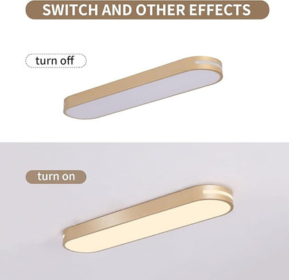 Becailyer 23.6" Modern LED Ceiling Light, Dimmable Flush Mount Ceiling Lamp, 60W Metal Ceiling Chandelier Lighting Fixture for Living Room Bedroom Dining Room Office Hallway Aisle Closet, Gold
