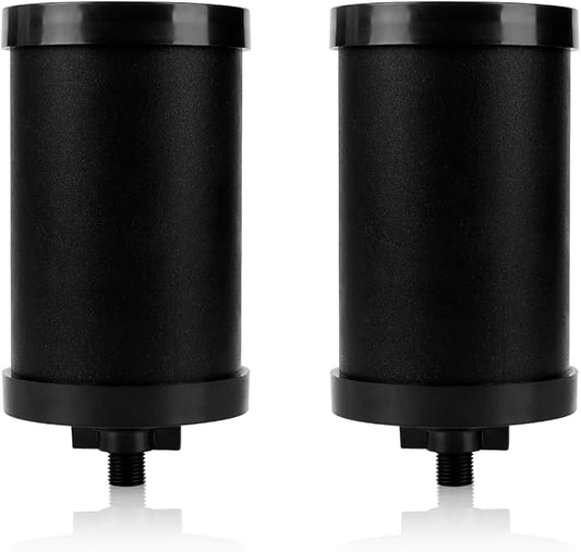 2387 Pro Water Filter Replacement – 2 Pack, 11Dx5Wx5H Long-Lasting Replacement Elements for Clean & Safe Drinking Water, Easy Installation for Home & Outdoor Use