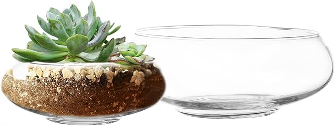 Royal Imports Round Glass Vase Set of 2 – Clear Decorative Glass Bowls for Flowers, Terrariums, Succulent Planters, Bubble Vases, Floral Decor Centerpieces, Glass Flower Pots for Home or Wedding Décor