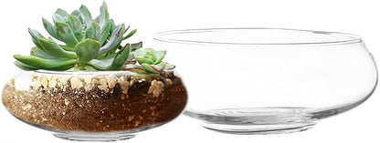Royal Imports Round Glass Vase Set of 2 – Clear Decorative Glass Bowls for Flowers, Terrariums, Succulent Planters, Bubble Vases, Floral Decor Centerpieces, Glass Flower Pots for Home or Wedding Décor