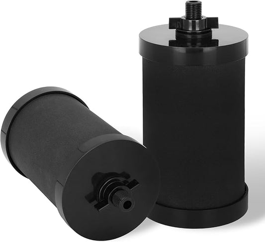 2387 Pro Black Filter, NSF/ANSI 42 Certified for Alexapure 2387 Pro Filter Replacement, 5,000 Gallon Throughput Capacity Compatible with Alexapure Water Filtration System - 2 Pack Black