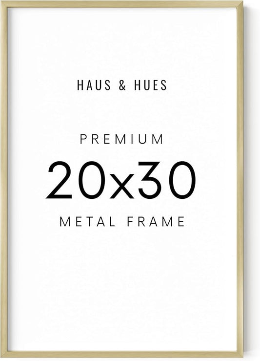 HAUS AND HUES Standalone Gold Aluminum Frame Set of 1-20x30