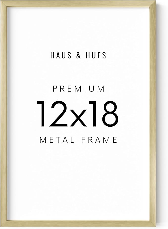 HAUS AND HUES Standalone Gold Aluminum Frame Set of 1-12x18