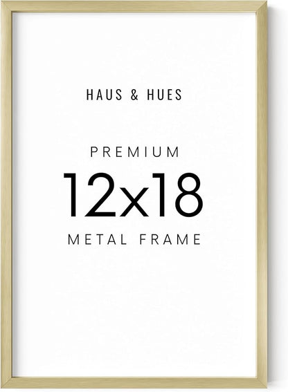 HAUS AND HUES Standalone Gold Aluminum Frame Set of 1-12x18