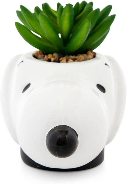 Peanuts Snoopy Face Ceramic Mini Planter with Artificial Succulent | Small Flower Pot, Faux Indoor Plants for Desk Shelf, Home Decor Trinket Tray | Cute Charlie Brown Gifts and Collectibles