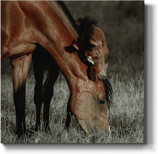 Canvas Wall Art Animals Theme for Home Décor, Unbroken Bond Wall Art, Ready to Hang, 16'' x 16''