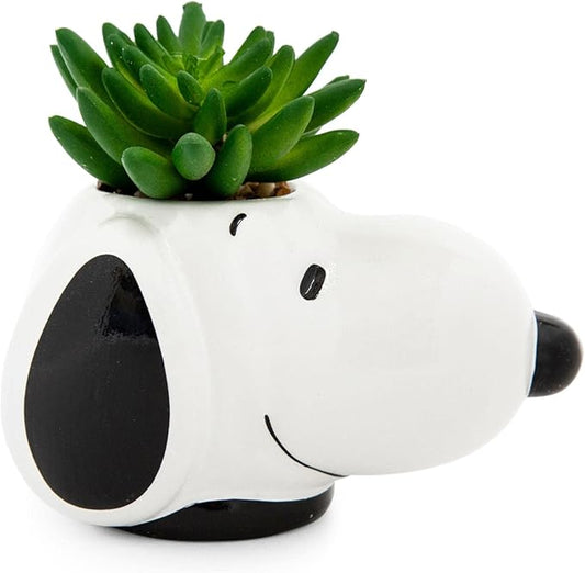 Peanuts Snoopy Face Ceramic Mini Planter with Artificial Succulent | Small Flower Pot, Faux Indoor Plants for Desk Shelf, Home Decor Trinket Tray | Cute Charlie Brown Gifts and Collectibles