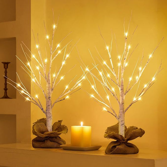 Lighted Birch Tree Christmas Decorations, 2Pack 2FT USB Rechargeable Tabletop Tree with LED Lights, Pre-Lit Artificial Mini Money Trees for Home Centerpiece Fireplace Party Decor(Timer)