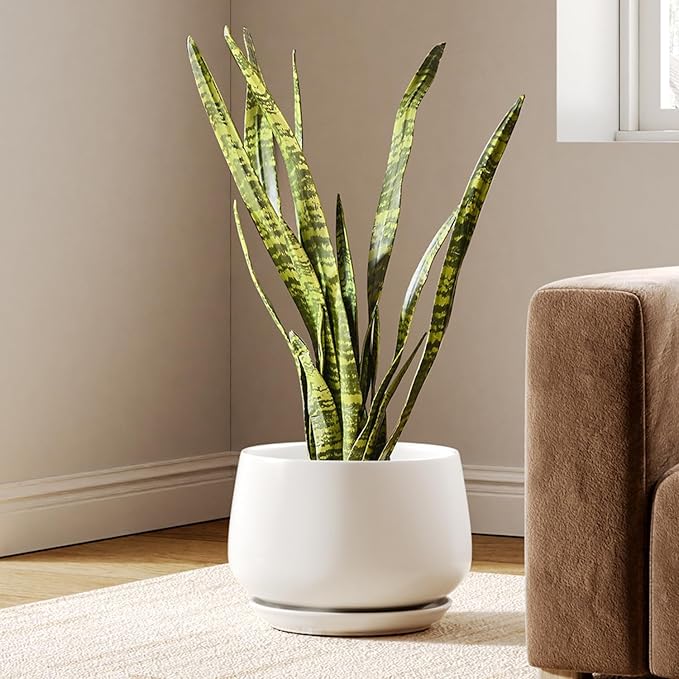 LE TAUCI Ceramic Pots for Plants, 10 Inch Plant Pot with Drainage Holes and Saucers, Stylish and Durable Planter, Plant Pots Indoor, Gift for Mom, White