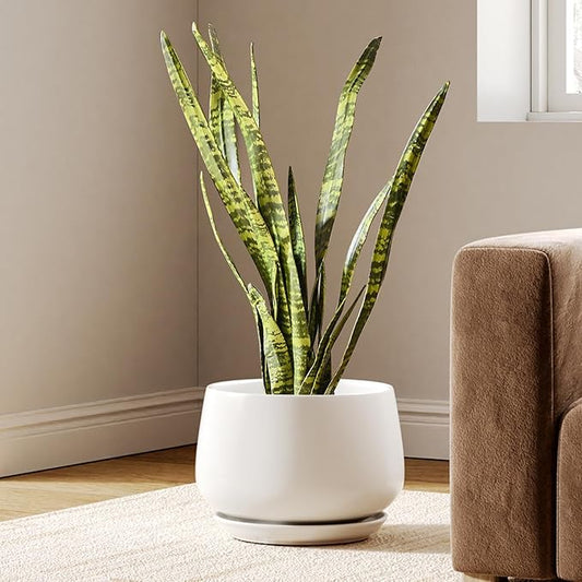LE TAUCI Ceramic Pots for Plants, 10 Inch Plant Pot with Drainage Holes and Saucers, Stylish and Durable Planter, Plant Pots Indoor, Gift for Mom, White