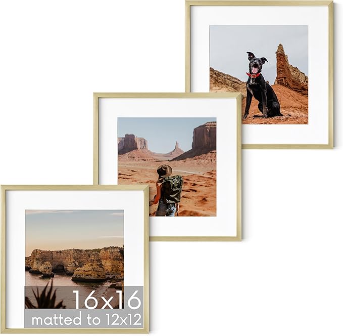 HAUS AND HUES 16x16 Gold Metal Picture Frames Matted to 12x12 - Features Premium Aluminum & Hanging Hardware, Shatterproof Plexiglass - Ideal for Home, Room, Office (16x16 in, Gold, Set of 3)