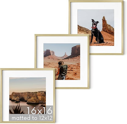 HAUS AND HUES 16x16 Gold Metal Picture Frames Matted to 12x12 - Features Premium Aluminum & Hanging Hardware, Shatterproof Plexiglass - Ideal for Home, Room, Office (16x16 in, Gold, Set of 3)