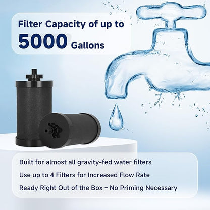 2387 Pro Black Filter, NSF/ANSI 42 Certified for Alexapure 2387 Pro Filter Replacement, 5,000 Gallon Throughput Capacity Compatible with Alexapure Water Filtration System - 2 Pack Black