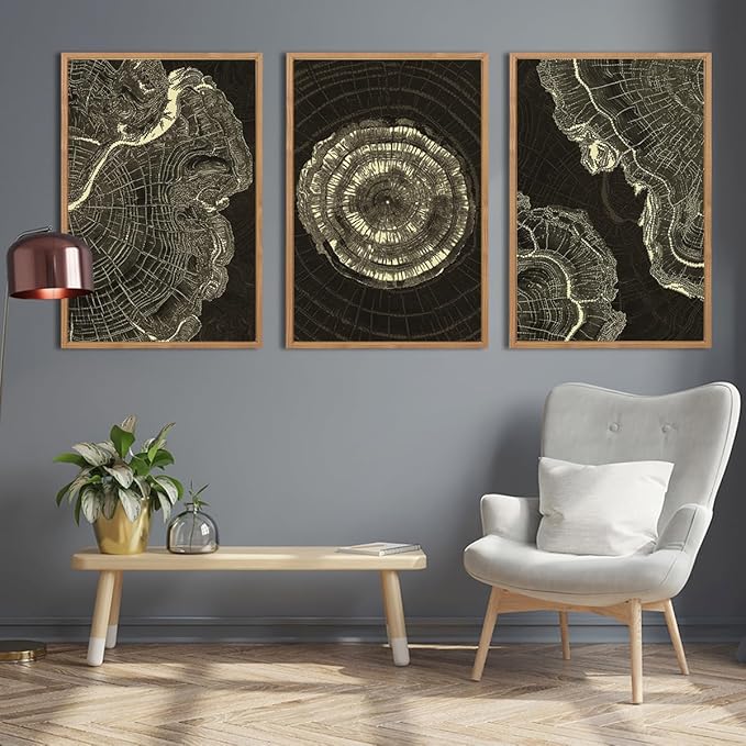 IARTTOP Tree Ring Canvas Wall Art Large Framed 24x36 Inch Black Modern Abstract Wall Decor Neutral Minimalist Wood Spiral Wall Painting for Living room Bedroom Office Set of 3