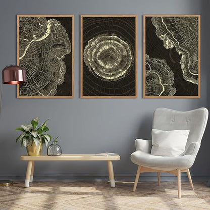 IARTTOP Tree Ring Canvas Wall Art Large Framed 24x36 Inch Black Modern Abstract Wall Decor Neutral Minimalist Wood Spiral Wall Painting for Living room Bedroom Office Set of 3