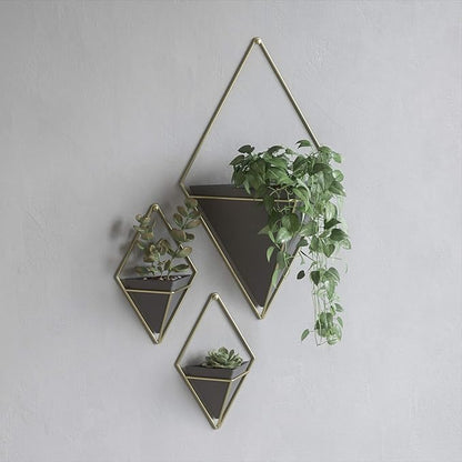 Umbra Trigg Hanging Planter Vase Wall Decor, Pot and Container for Succulents, Cactus, Faux Plants, and More, Large, Black/Brass